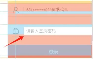 密码框无法点击示例